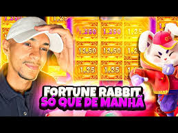 horarios rabbit fortune